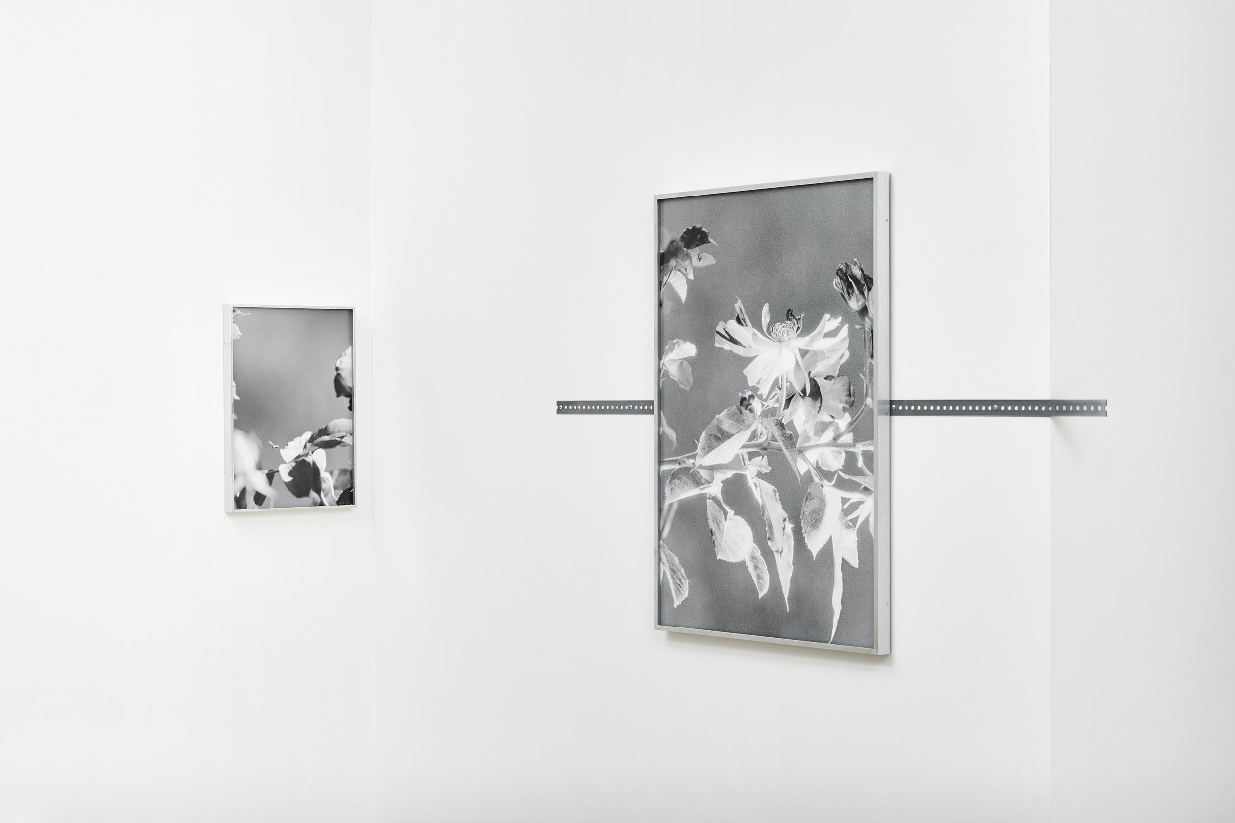 Books & Exhibitions — Daniel Shea, Mini Title 2025