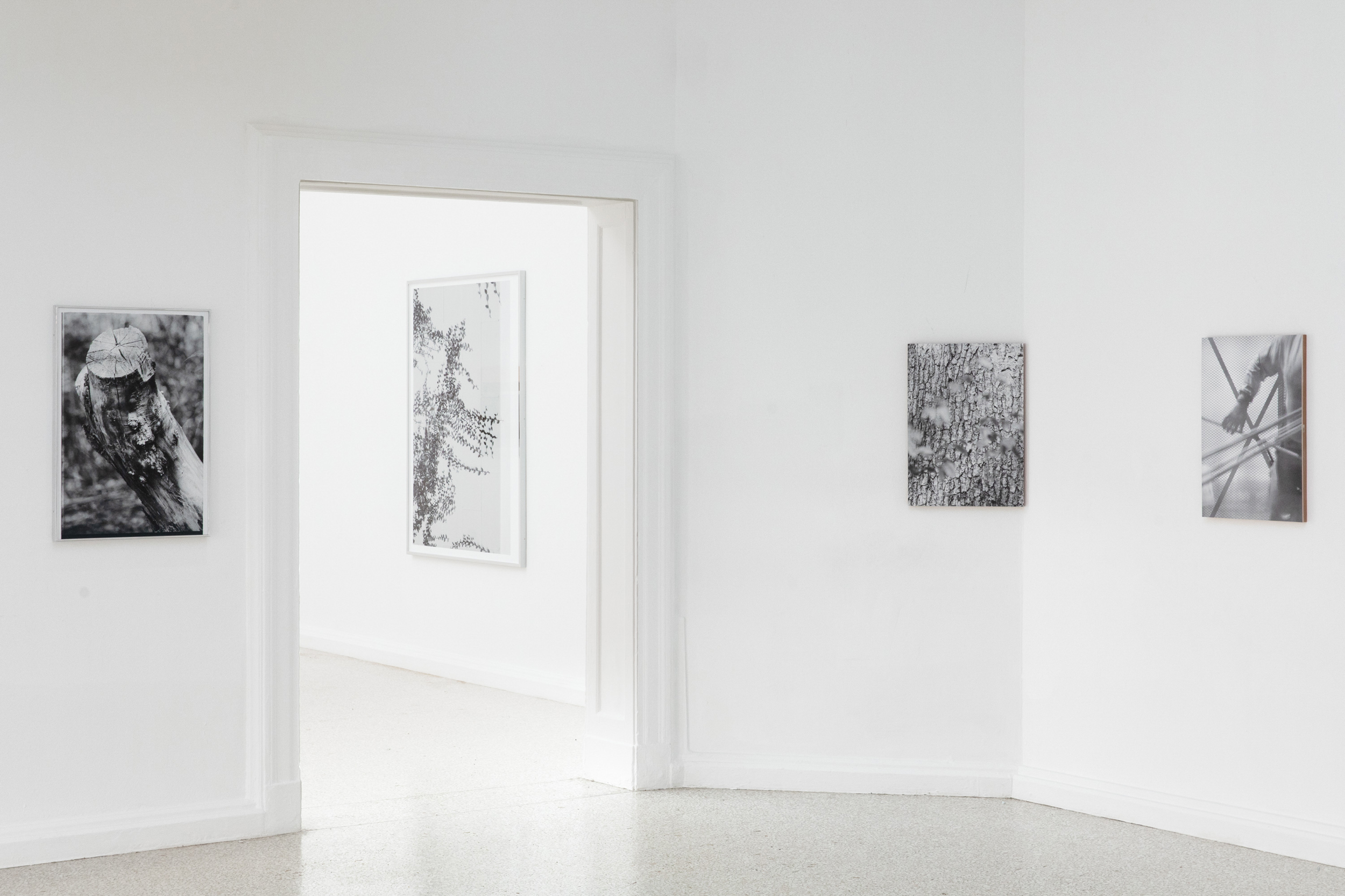 Books & Exhibitions — Daniel Shea, Mini Title 2025