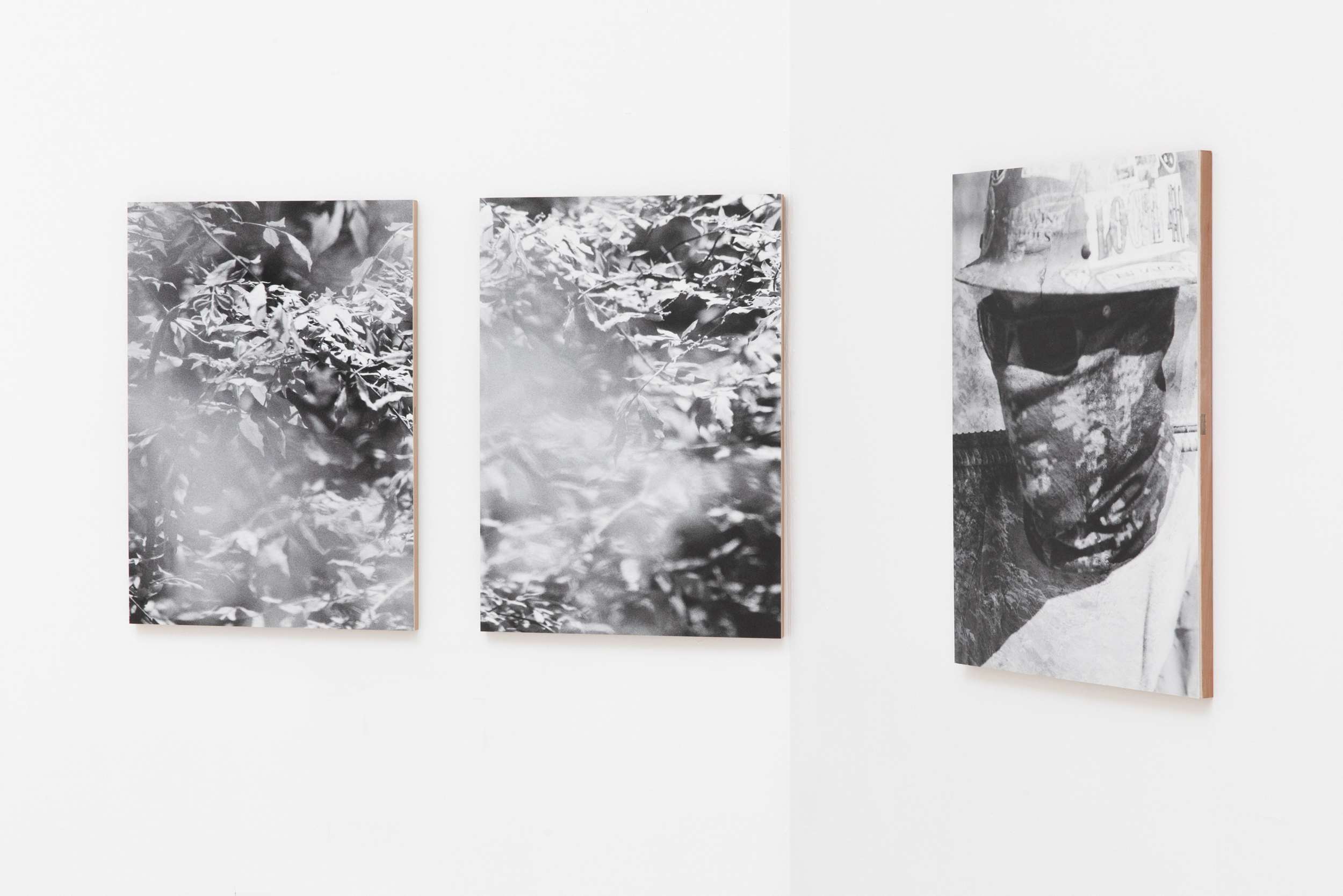 Books & Exhibitions — Daniel Shea, Mini Title 2025
