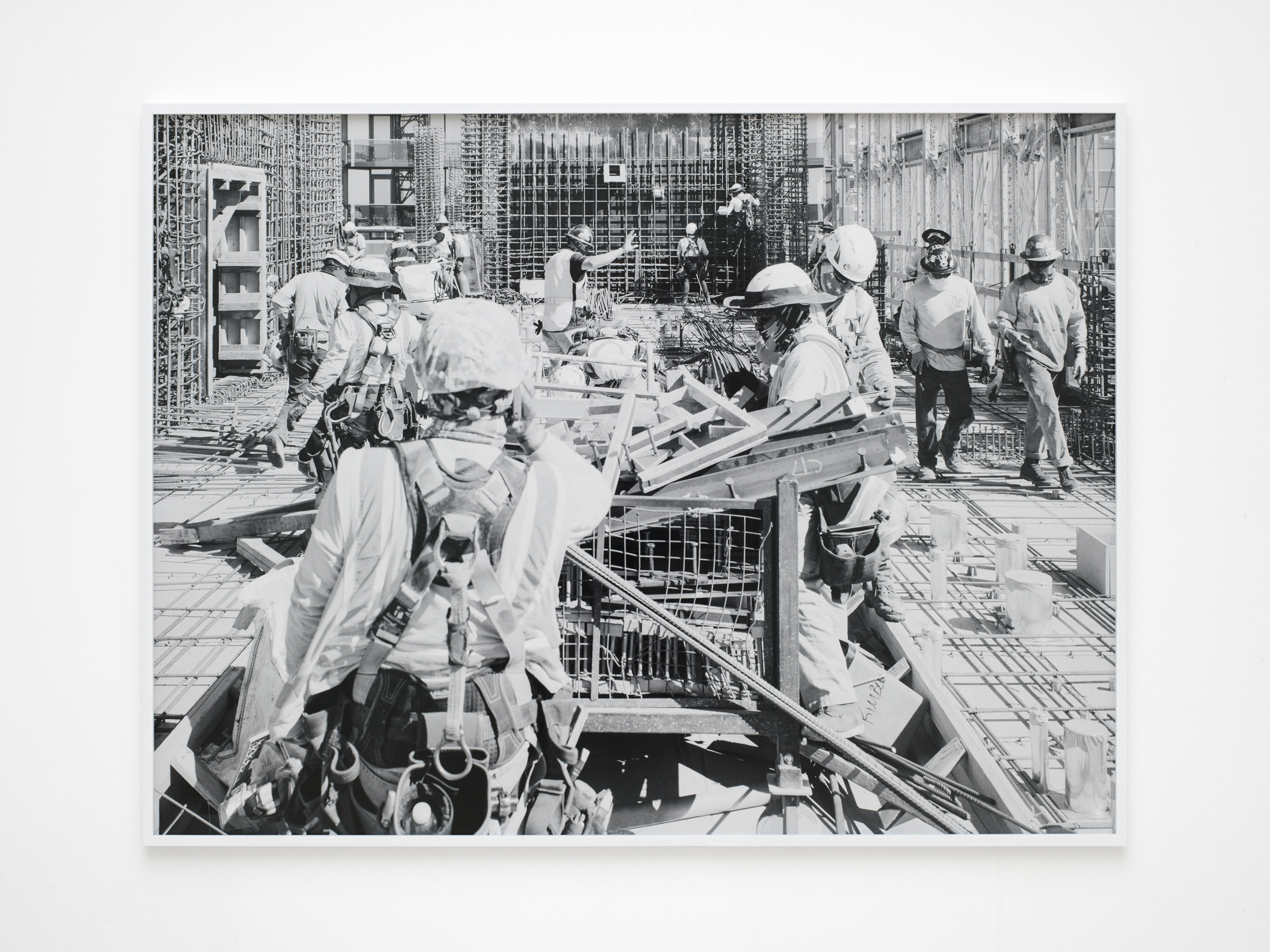 Books & Exhibitions — Daniel Shea, Mini Title 2025