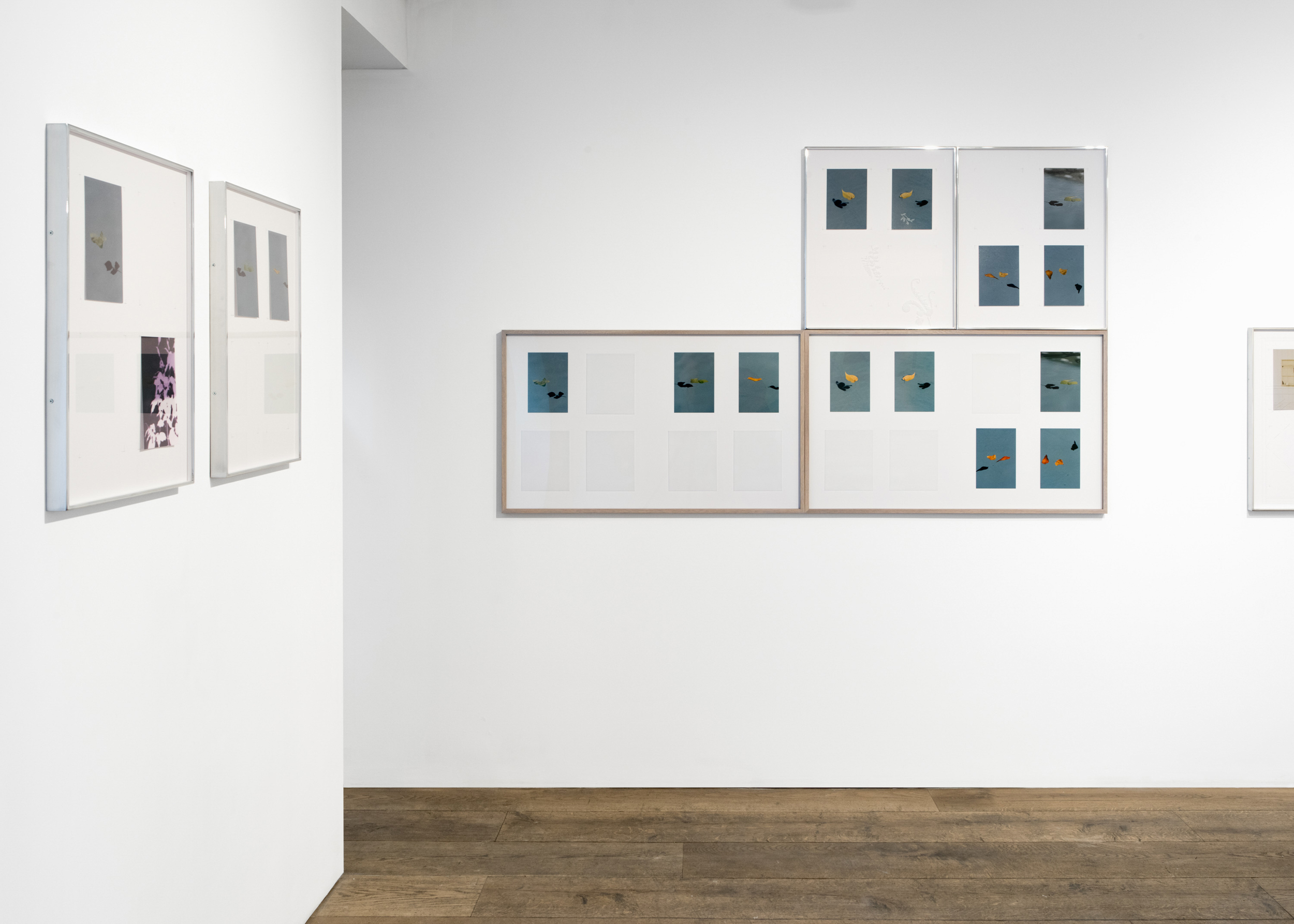 Books & Exhibitions — Daniel Shea, Mini Title 2025