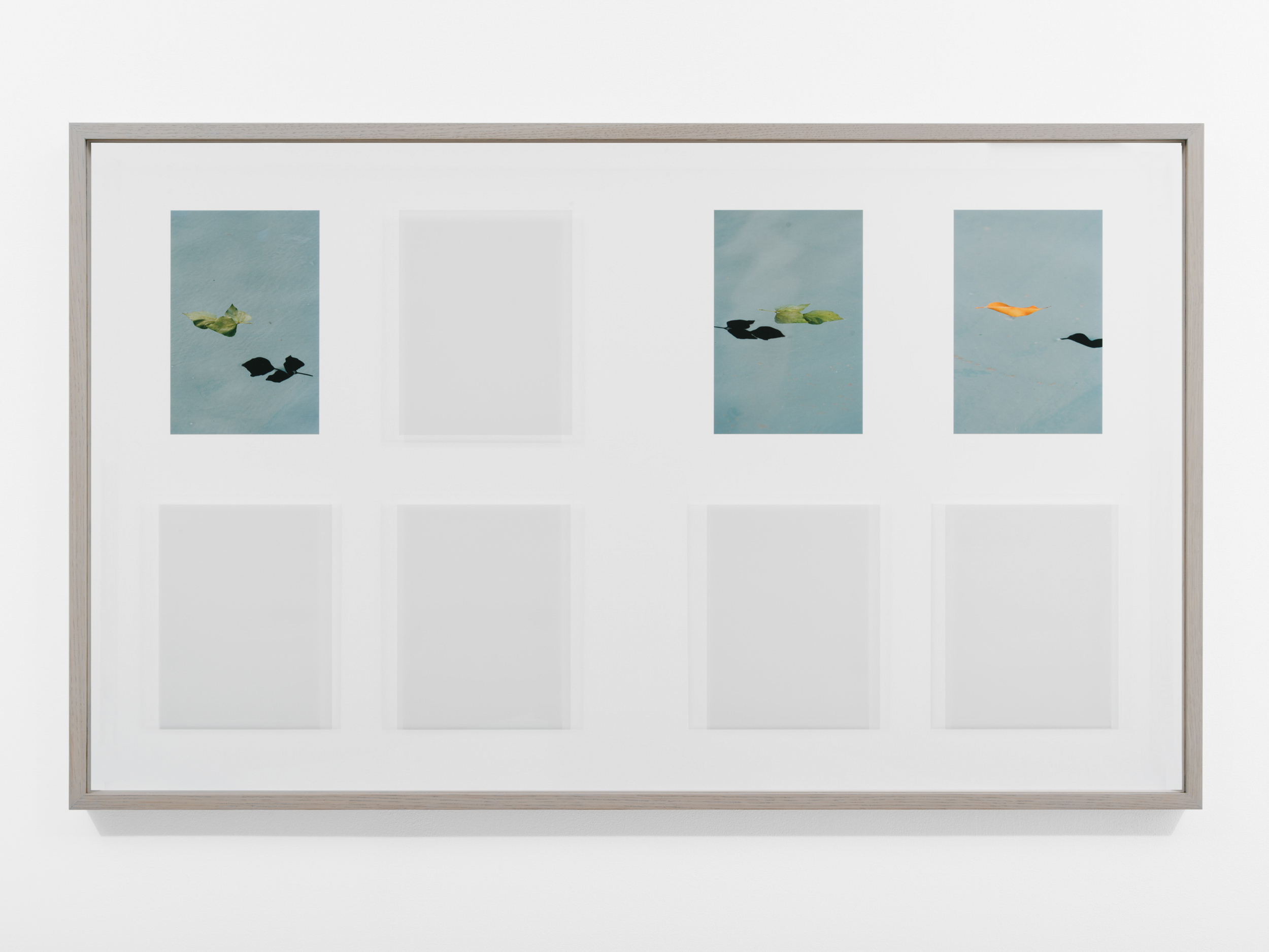 Books & Exhibitions — Daniel Shea, Mini Title 2025