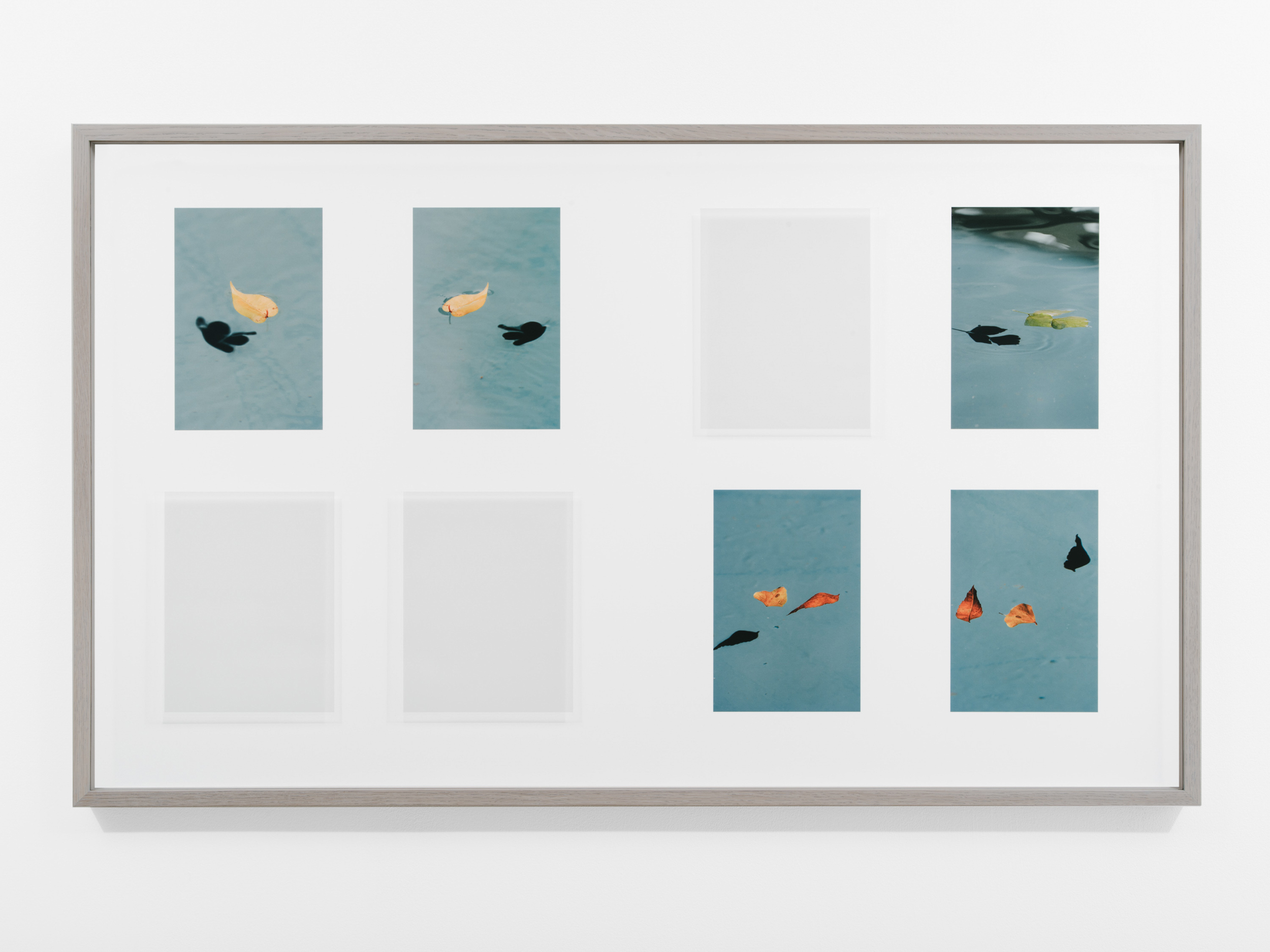 Books & Exhibitions — Daniel Shea, Mini Title 2025