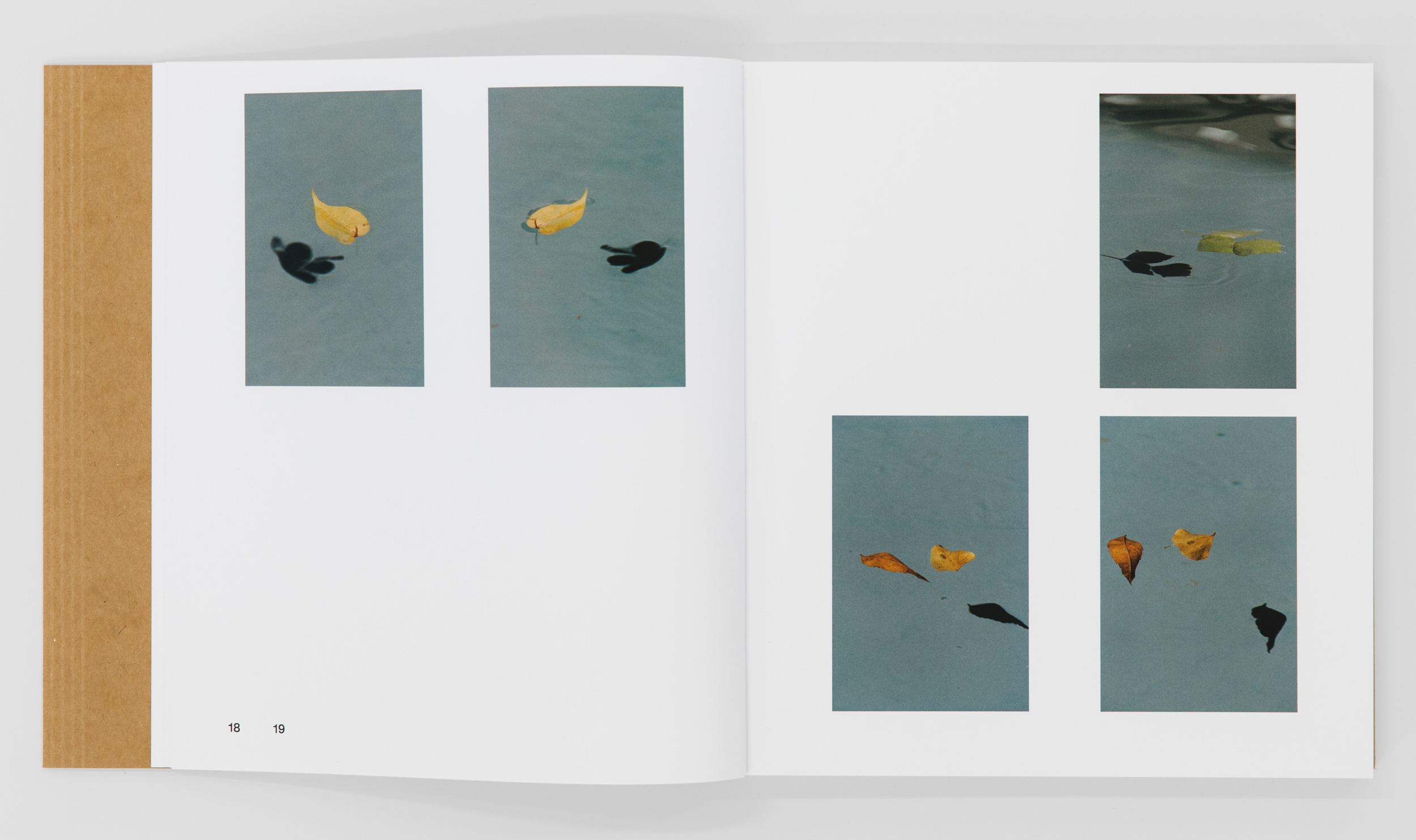 Books & Exhibitions — Daniel Shea, Mini Title 2025
