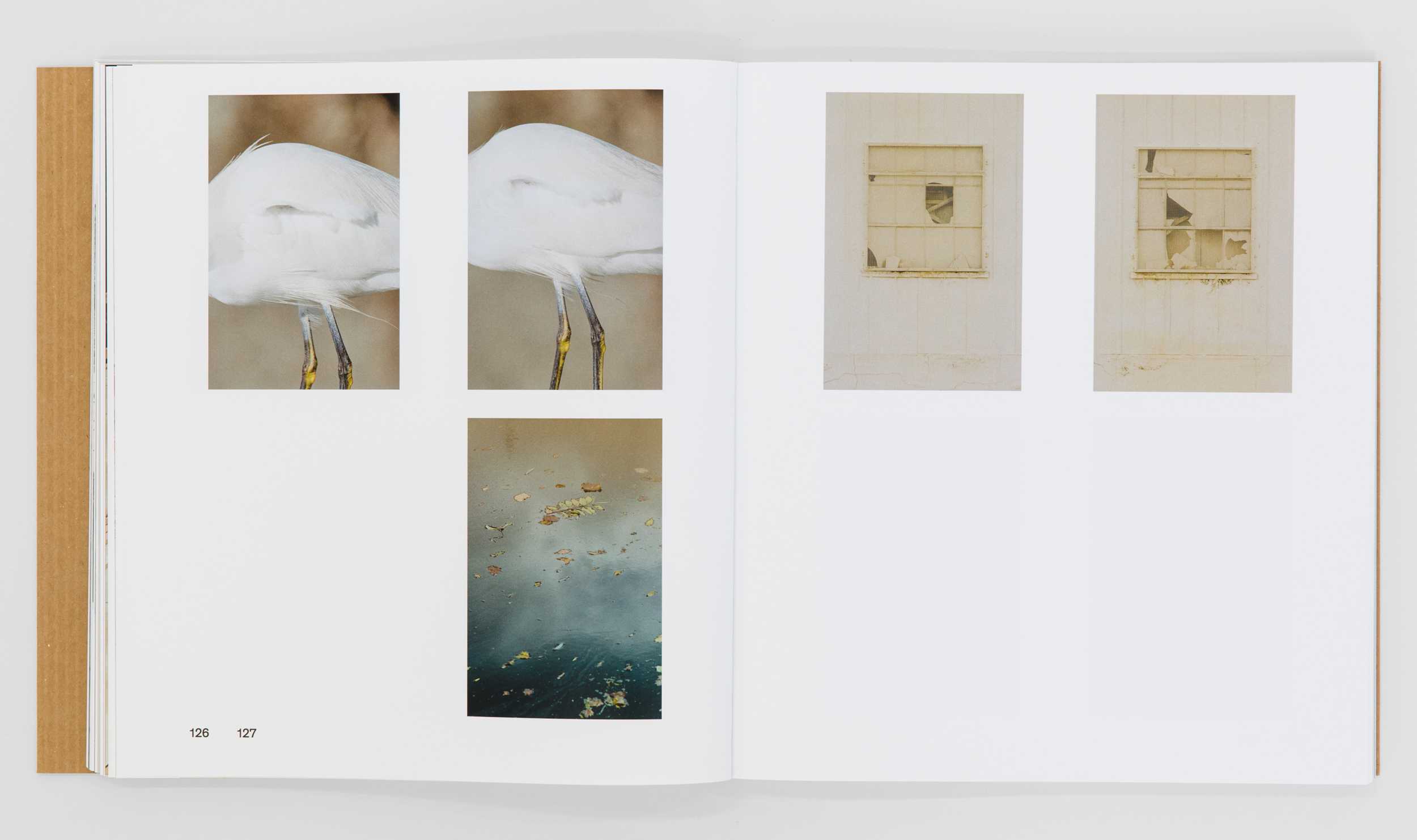 Books & Exhibitions — Daniel Shea, Mini Title 2025