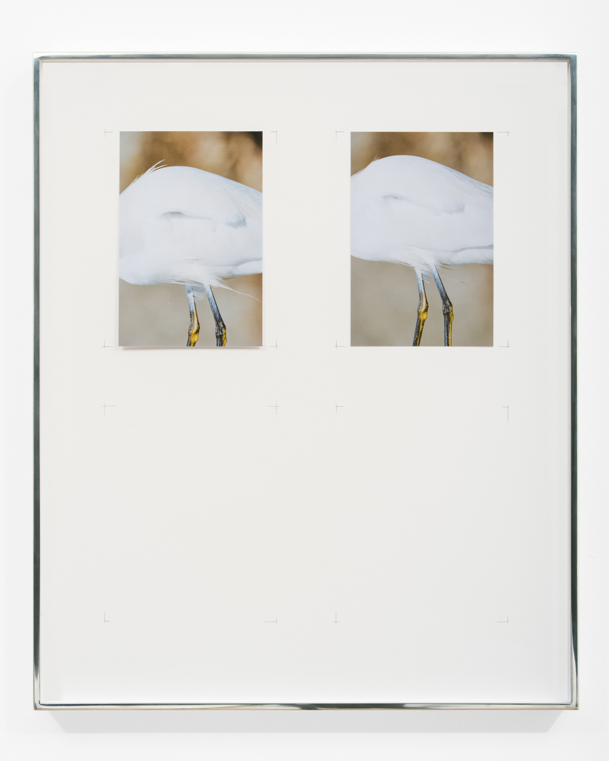 Books & Exhibitions — Daniel Shea, Mini Title 2025