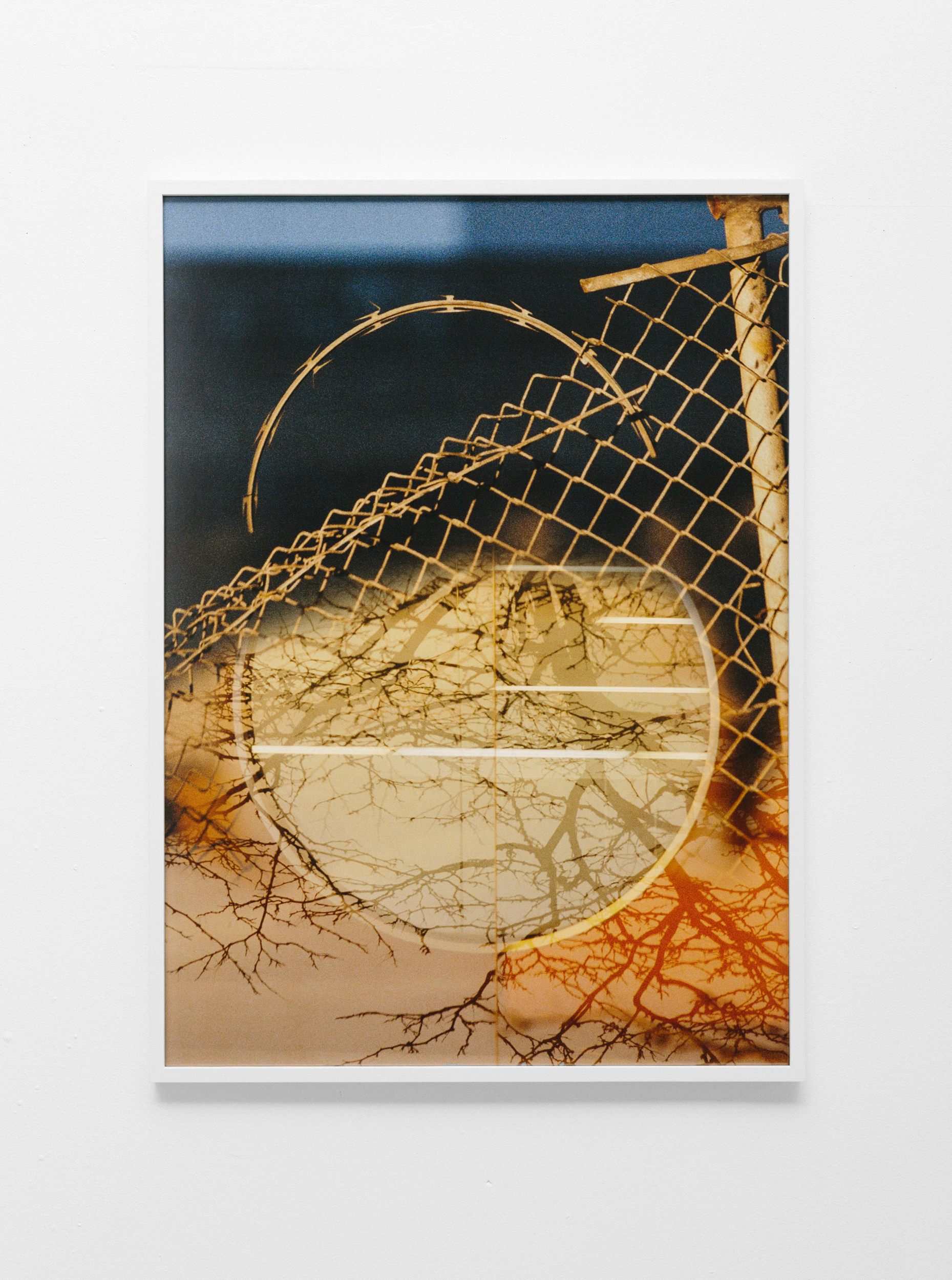 Books & Exhibitions — Daniel Shea, Mini Title 2025