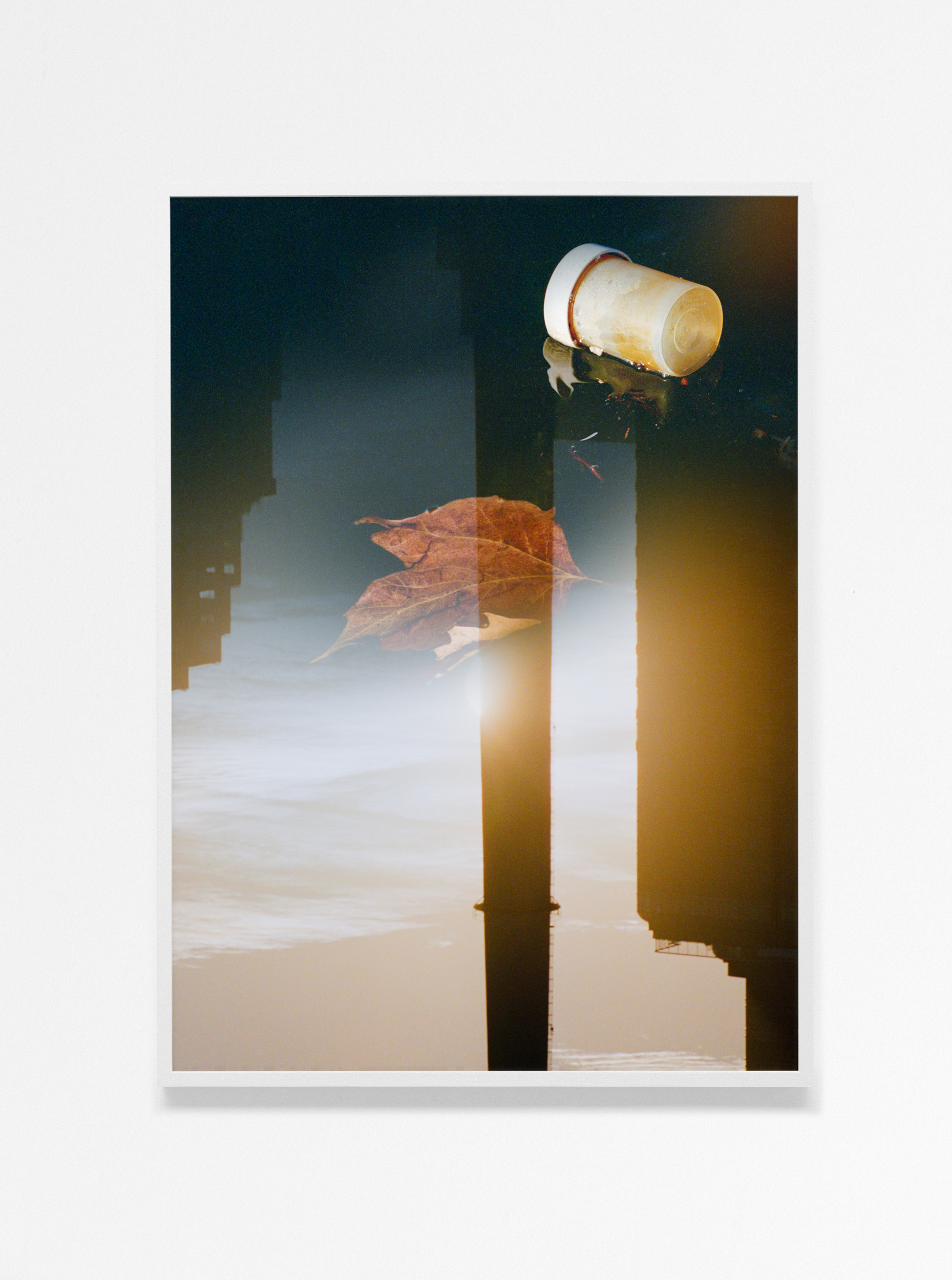Books & Exhibitions — Daniel Shea, Mini Title 2025