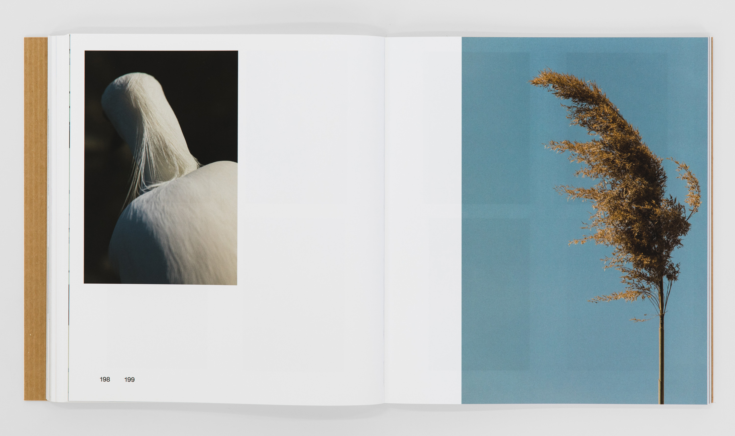 Books & Exhibitions — Daniel Shea, Mini Title 2025