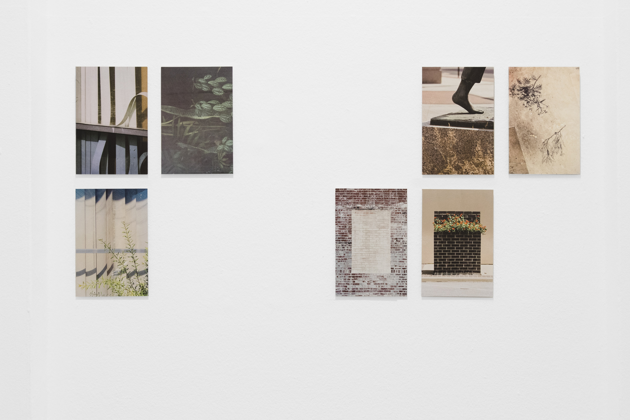 Books & Exhibitions — Daniel Shea, Mini Title 2025