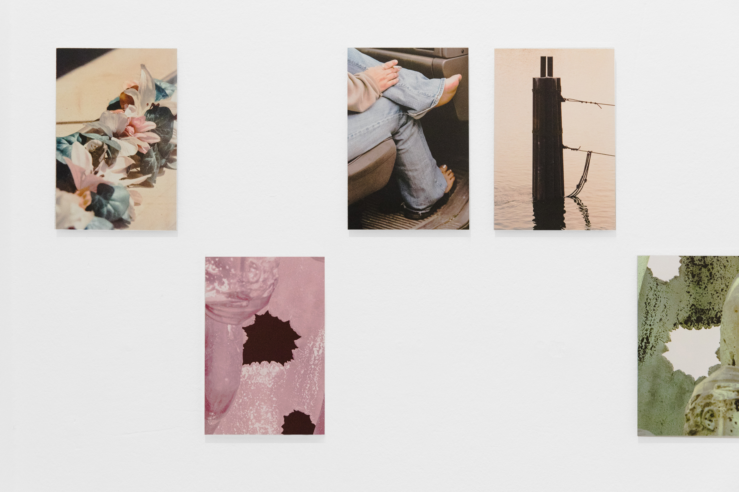 Books & Exhibitions — Daniel Shea, Mini Title 2025