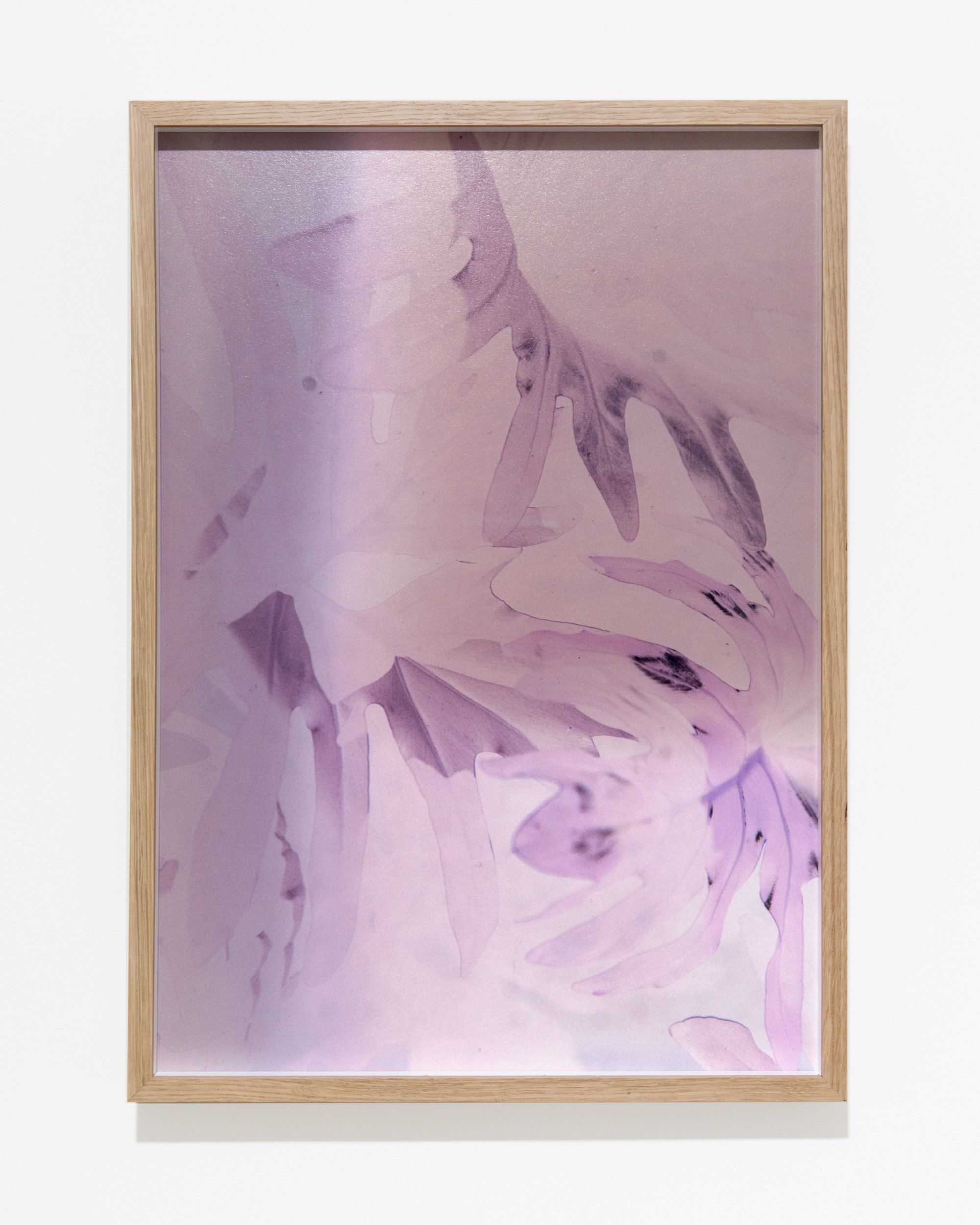 Books & Exhibitions — Daniel Shea, Mini Title 2025