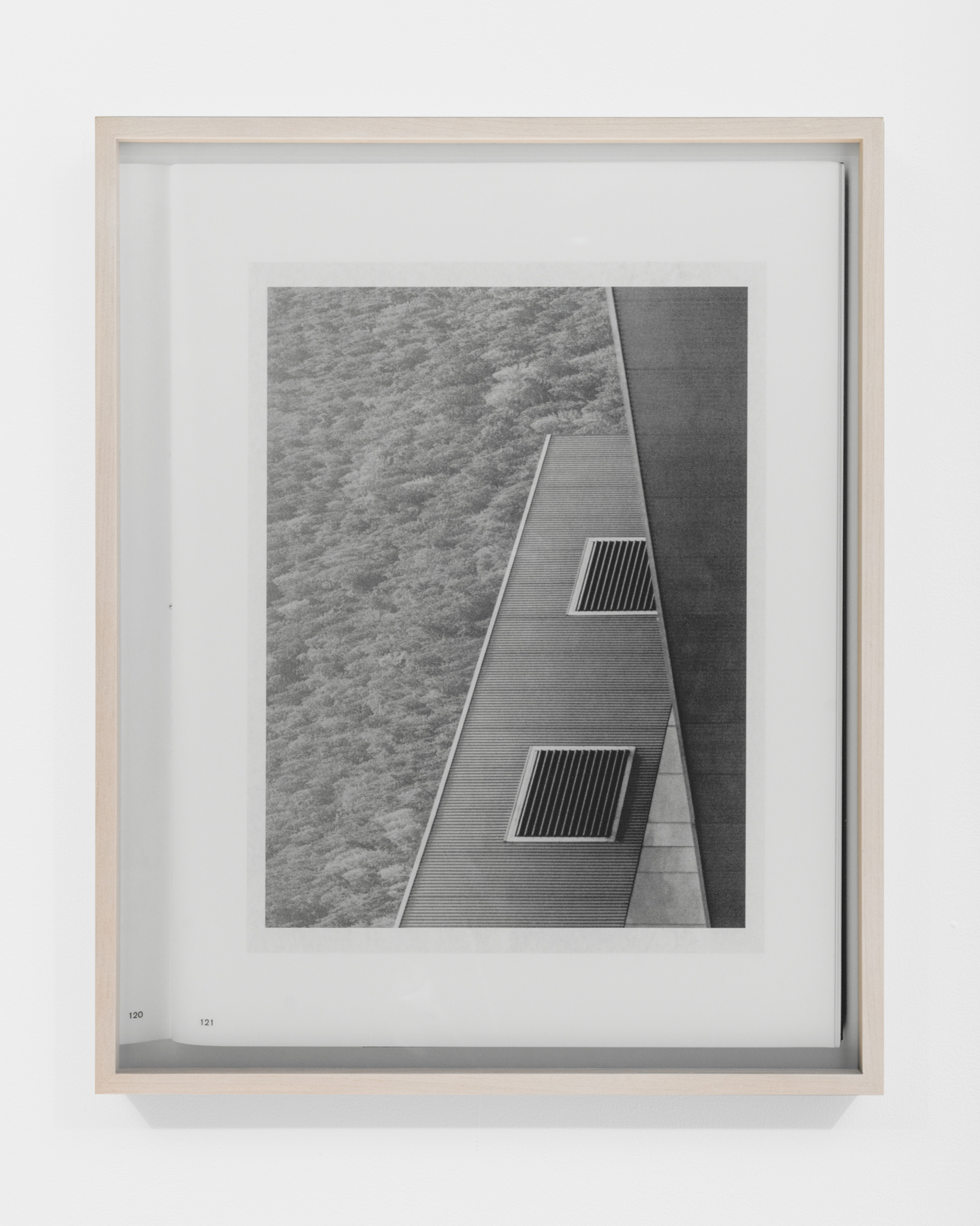Books & Exhibitions — Daniel Shea, Mini Title 2025