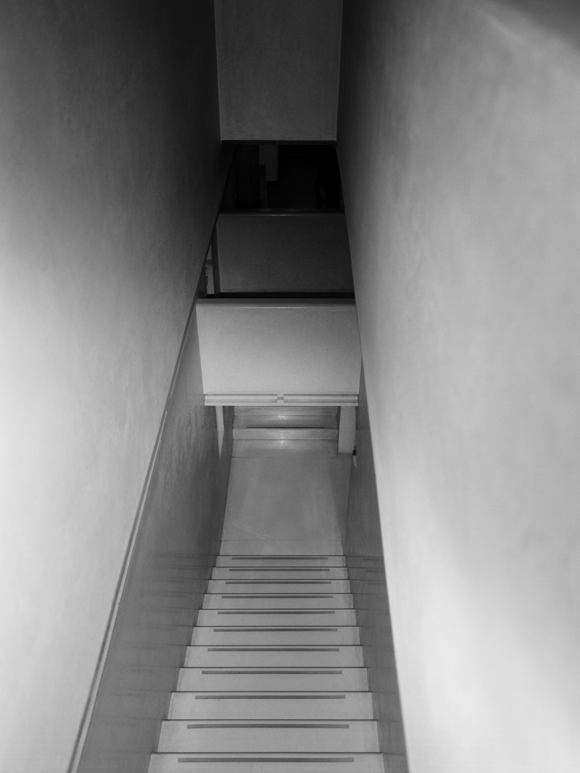 Portfolio — Daniel Shea, Mini Title 2025