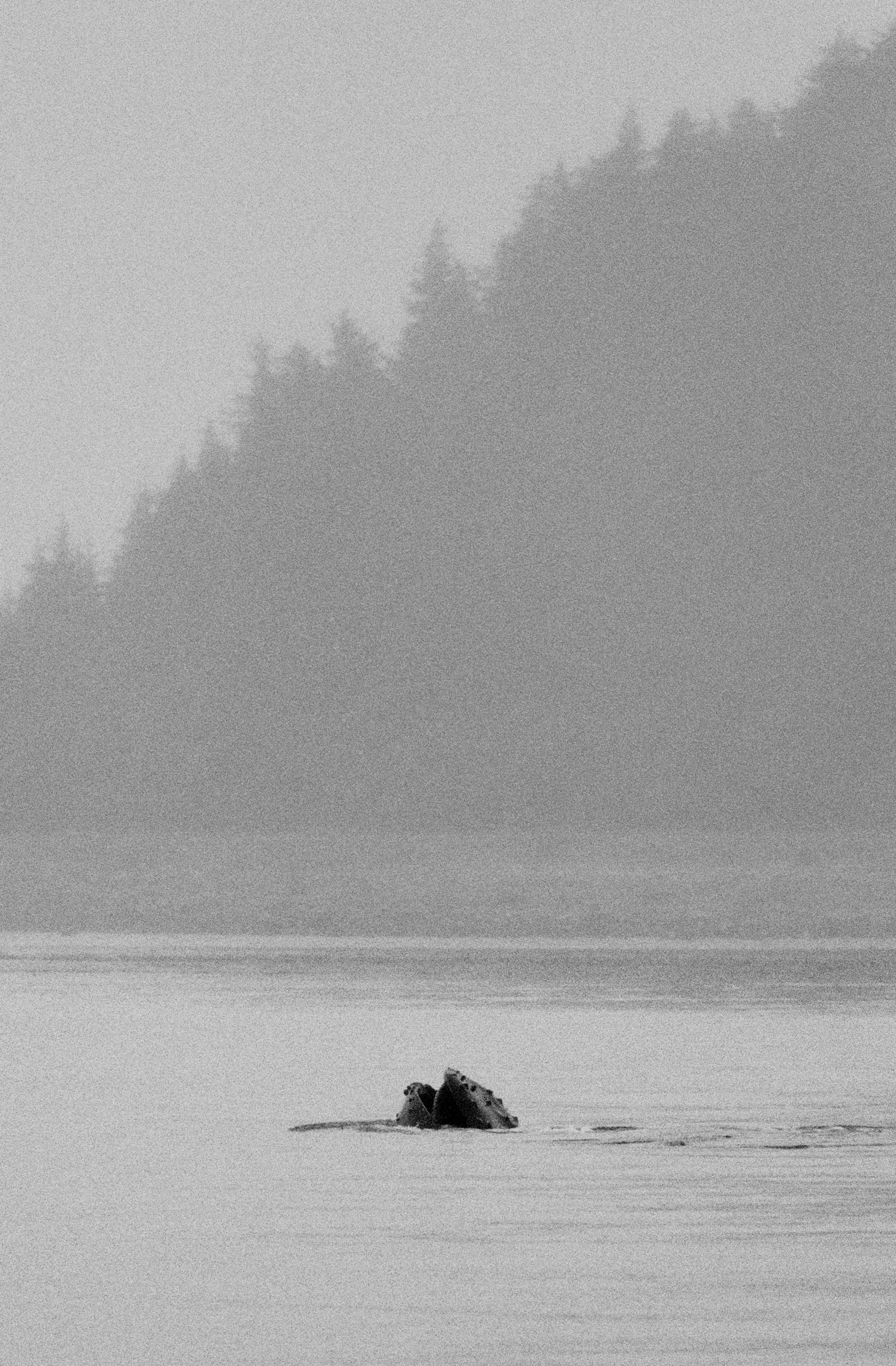 Portfolio — Daniel Shea, Mini Title 2025