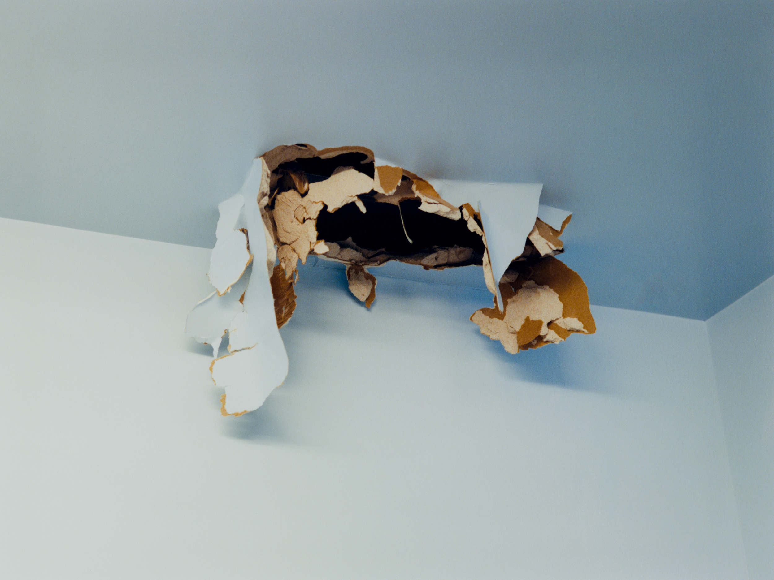 Portfolio — Daniel Shea, Mini Title 2025
