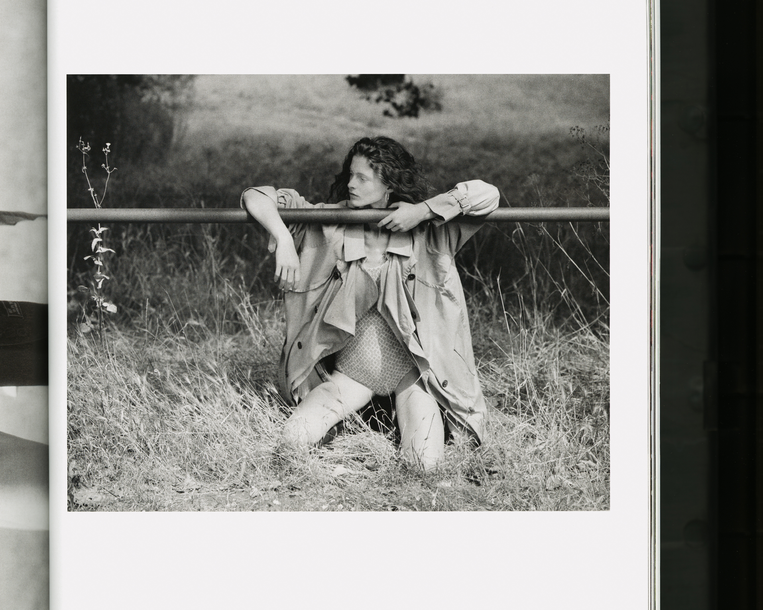 Portfolio — Daniel Shea, Mini Title 2025